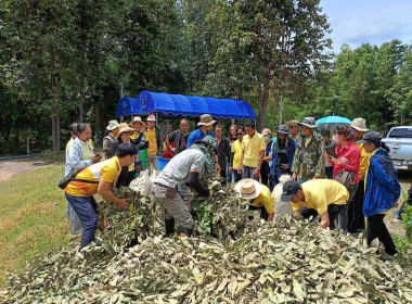 โครงการจัดการวัสดุเหลือใช้ทางการเกษตรเพื่อเพิ่มมูลค่า Image 11