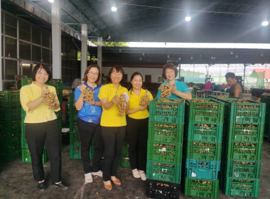 ลงพื้นที่ตรวจเยี่ยมสหกรณ์การเกษตรประตูป่า จำกัด Image 5
