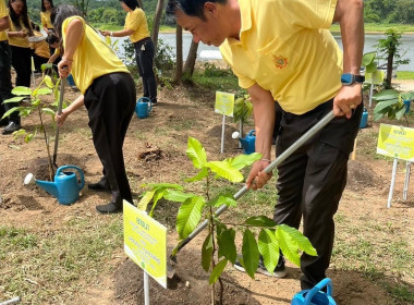 กิจกรรมโครงการอนุรักษ์ทรัพยากรธรรมชาติและสิ่งแวดล้อม พารามิเตอร์รูปภาพ 8