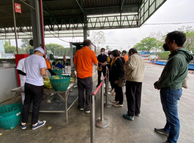 ร่วมศึกษาดูงานการใช้เทคโนโลยีและนวัตกรรมการเกษตรเพื่อพัฒนาคุณภาพและเพิ่มผลผลิตทางการเกษตร ... พารามิเตอร์รูปภาพ 6
