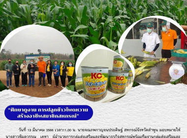 ร่วมศึกษาดูงานการใช้เทคโนโลยีและนวัตกรรมการเกษตรเพื่อพัฒนาคุณภาพและเพิ่มผลผลิตทางการเกษตร ... พารามิเตอร์รูปภาพ 18