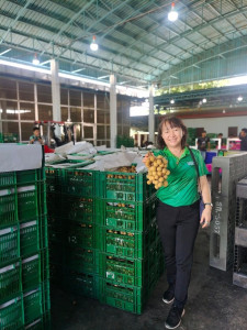 ลงพื้นที่ตรวจเยี่ยมการรวบรวมลำไยสดช่อของสหกรณ์ส่งเสริมเกษตรกรป่าซาง จำกัด ... Image 1