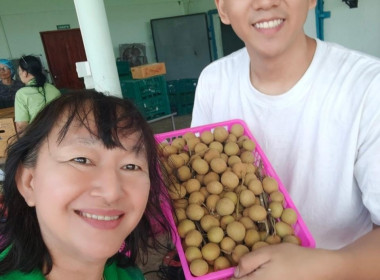 ลงพื้นที่ตรวจเยี่ยมการรวบรวมลำไยสดช่อของสหกรณ์ส่งเสริมเกษตรกรป่าซาง จำกัด ... Image 6