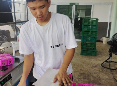 ลงพื้นที่ตรวจเยี่ยมการรวบรวมลำไยสดช่อของสหกรณ์ส่งเสริมเกษตรกรป่าซาง จำกัด ... Image 10