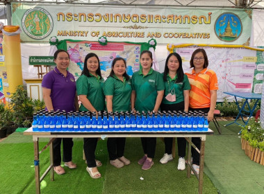 กิจกรรมในงาน "เทศกาลลำไยและเกษตรแฟร์ ปี 2567 (หอการค้าแฟร์ ... Image 1