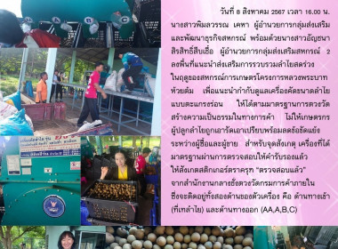 ลงพื้นที่แนะนำส่งเสริมการรวบรวมลำไยสดร่วงเพื่อแนะนำกำกับดูแลเครื่องคัดขนาดลำไย ... Image 9