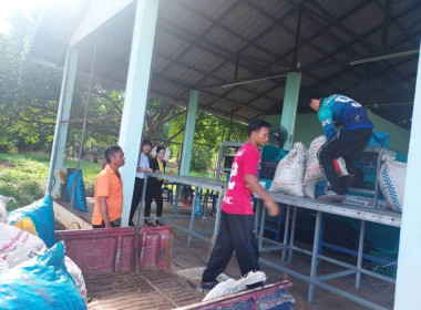 ลงพื้นที่แนะนำส่งเสริมการรวบรวมลำไยสดร่วงเพื่อแนะนำกำกับดูแลเครื่องคัดขนาดลำไย ... Image 7