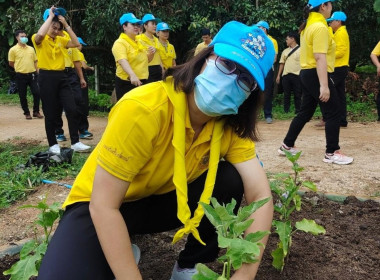 กิจกรรมจิตอาสาบำเพ็ญสาธารณประโยชน์และบำเพ็ญสาธารณกุศล พารามิเตอร์รูปภาพ 8