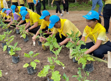 กิจกรรมจิตอาสาบำเพ็ญสาธารณประโยชน์และบำเพ็ญสาธารณกุศล พารามิเตอร์รูปภาพ 7