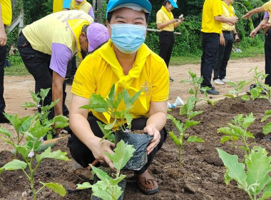 กิจกรรมจิตอาสาบำเพ็ญสาธารณประโยชน์และบำเพ็ญสาธารณกุศล พารามิเตอร์รูปภาพ 9