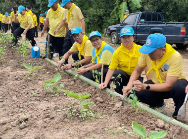 กิจกรรมจิตอาสาบำเพ็ญสาธารณประโยชน์และบำเพ็ญสาธารณกุศล พารามิเตอร์รูปภาพ 10