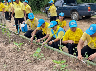 กิจกรรมจิตอาสาบำเพ็ญสาธารณประโยชน์และบำเพ็ญสาธารณกุศล พารามิเตอร์รูปภาพ 11