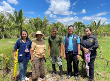 ลงพื้นที่เพื่อแนะนำ ส่งเสริม สนับสนุน สหกรณ์และกลุ่มเกษตรกร พารามิเตอร์รูปภาพ 5