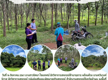 ลงพื้นที่ติดตามผลการดำเนินงานอาชีพในพื้นที่คทช. ... Image 6