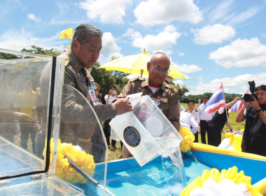 จัดนิทรรศการเพื่อเผยแพร่การขับเคลื่อนสหกรณ์และกลุ่มเกษตรกรในพื้นที่ ... พารามิเตอร์รูปภาพ 4