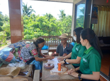 ตรวจสอบกิจการและฐานะการเงินของสหกรณ์ผู้ปลูกกระเทียมและหอมแดงเมืองลำพูน จำกัด ... พารามิเตอร์รูปภาพ 9