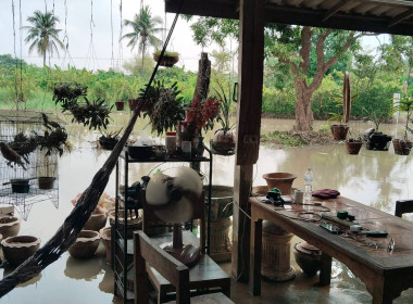 ลงพื้นที่ตรวจเยี่ยมสหกรณ์/กลุ่มเกษตรกรที่ได้รับผลกระทบน้ำท่วม ... Image 7