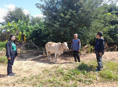 ตรวจเยี่ยมไร่ข้าวโพดของสมาชิกกลุ่มเกษตรกรทำสวนตำบลบ้านปวง พารามิเตอร์รูปภาพ 5