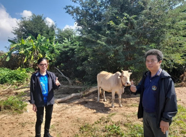 ตรวจเยี่ยมไร่ข้าวโพดของสมาชิกกลุ่มเกษตรกรทำสวนตำบลบ้านปวง พารามิเตอร์รูปภาพ 6