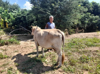 ตรวจเยี่ยมไร่ข้าวโพดของสมาชิกกลุ่มเกษตรกรทำสวนตำบลบ้านปวง พารามิเตอร์รูปภาพ 7