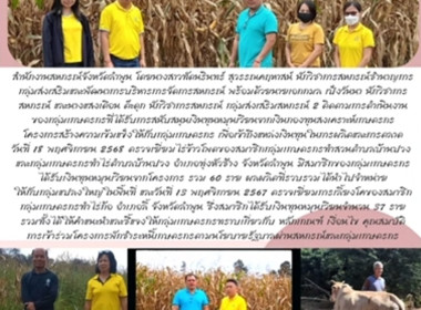 ตรวจเยี่ยมไร่ข้าวโพดของสมาชิกกลุ่มเกษตรกรทำสวนตำบลบ้านปวง พารามิเตอร์รูปภาพ 9