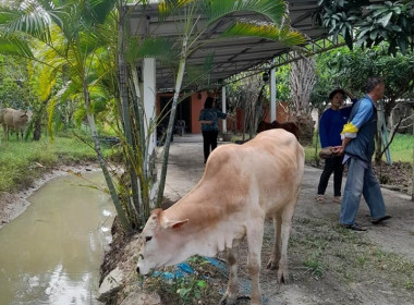 ตรวจเยี่ยมการดำเนินงานของกลุ่มเกษตรกรที่ ... พารามิเตอร์รูปภาพ 6