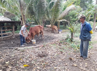 ตรวจเยี่ยมการดำเนินงานของกลุ่มเกษตรกรที่ ... พารามิเตอร์รูปภาพ 11