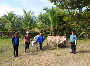 ตรวจเยี่ยมการดำเนินงานของกลุ่มเกษตรกรที่ ... พารามิเตอร์รูปภาพ 12