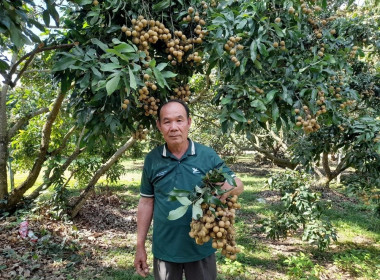 ติดตามการดำเนินงานของกลุ่มเกษตรกรที่ได้รับการสนับสนุนเงินทุนหมุนเวียนปลอดดอกเบี้ย ... Image 1