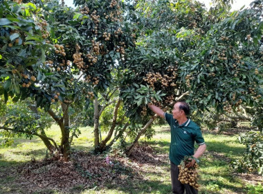 ติดตามการดำเนินงานของกลุ่มเกษตรกรที่ได้รับการสนับสนุนเงินทุนหมุนเวียนปลอดดอกเบี้ย ... Image 5