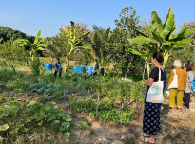 อบรมโครงการส่งเสริมและพัฒนาอาชีพเพื่อแก้ไขปัญหาที่ดินทำกินของเกษตรกร ... Image 16