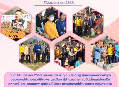 โครงการส่งเสริมการไถกลบและผลิตปุ๋ยอินทรีย์ ... Image 10
