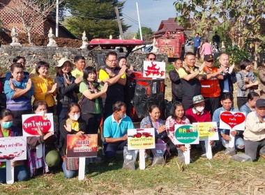 โครงการส่งเสริมการไถกลบและผลิตปุ๋ยอินทรีย์ ... Image 7
