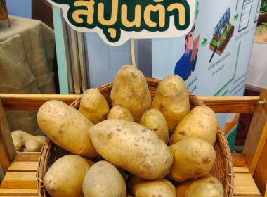 เสวนา“ทิศทางการผลิตหัวพันธุ์มันฝรั่งของไทยให้มีคุณภาพ” Image 5