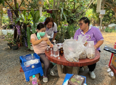 กิจกรรมการจัดอบรมโครงการส่งเสริมการปลูกผักปลอดภัย Image 3