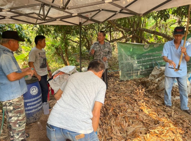 กิจกรรมการจัดอบรมโครงการส่งเสริมการปลูกผักปลอดภัย Image 4