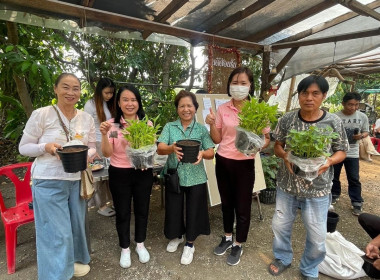 กิจกรรมการจัดอบรมโครงการส่งเสริมการปลูกผักปลอดภัย Image 6