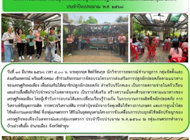 กิจกรรมการจัดอบรมโครงการส่งเสริมการปลูกผักปลอดภัย Image 9