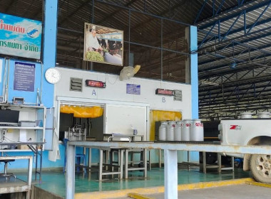 ตรวจสอบปริมาณน้ำนมดิบของสหกรณ์การเกษตรแม่ทา จำกัด Image 4