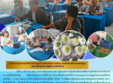โครงการค่าใช้จ่ายการยกระดับผลิตภัณฑ์สินค้าเกษตร Image 6
