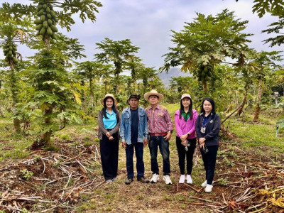 ติดตามการใช้เงินกู้กองทุนพัฒนาสหกรณ์ให้เป็นไปตามวัตถุประสงค์ Image 1