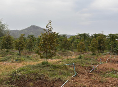 ติดตามการใช้เงินกู้กองทุนพัฒนาสหกรณ์ให้เป็นไปตามวัตถุประสงค์ Image 7