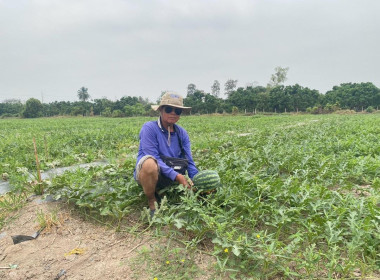 ติดตามการใช้เงินกู้กองทุนพัฒนาสหกรณ์ให้เป็นไปตามวัตถุประสงค์ Image 5