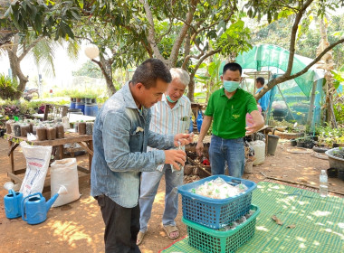 ร่วมกิจกรรมการ ... พารามิเตอร์รูปภาพ 4