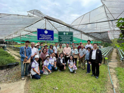 โครงการศึกษาดูงานการส่งเสริมการปลูกผักปลอดภัย พารามิเตอร์รูปภาพ 1