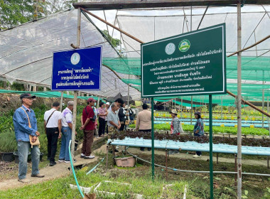โครงการศึกษาดูงานการส่งเสริมการปลูกผักปลอดภัย พารามิเตอร์รูปภาพ 6
