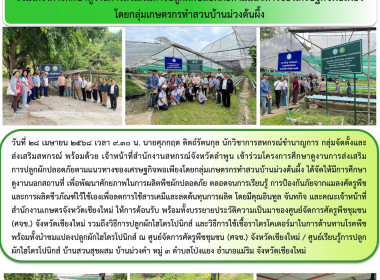 โครงการศึกษาดูงานการส่งเสริมการปลูกผักปลอดภัย พารามิเตอร์รูปภาพ 11