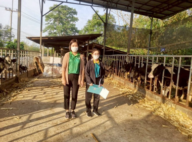 ตรวจสอบปริมาณน้ำนมนมโคและประชากรโคนม ระดับจังหวัด พารามิเตอร์รูปภาพ 11
