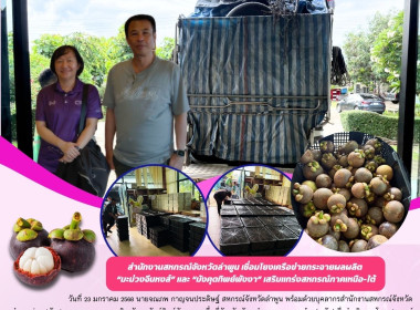 นโยบาย “เชื่อมโยงสหกรณ์ทั่วไทย เกษตรกรมั่นคง ยั่งยืน” พารามิเตอร์รูปภาพ 5