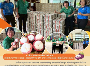 สนับสนุนการกระจายผลผลิตมังคุดคุณภาพมาตรฐาน GAP ... พารามิเตอร์รูปภาพ 11